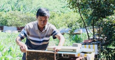 “Người giữ hương mật núi rừng” – Câu chuyện bền bỉ của ông Dương Văn Tứ