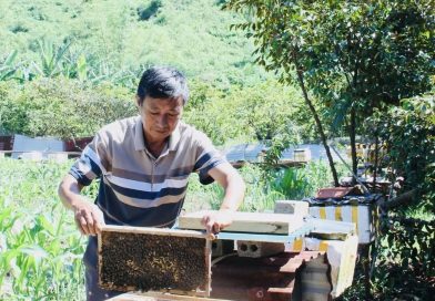 “Người giữ hương mật núi rừng” – Câu chuyện bền bỉ của ông Dương Văn Tứ